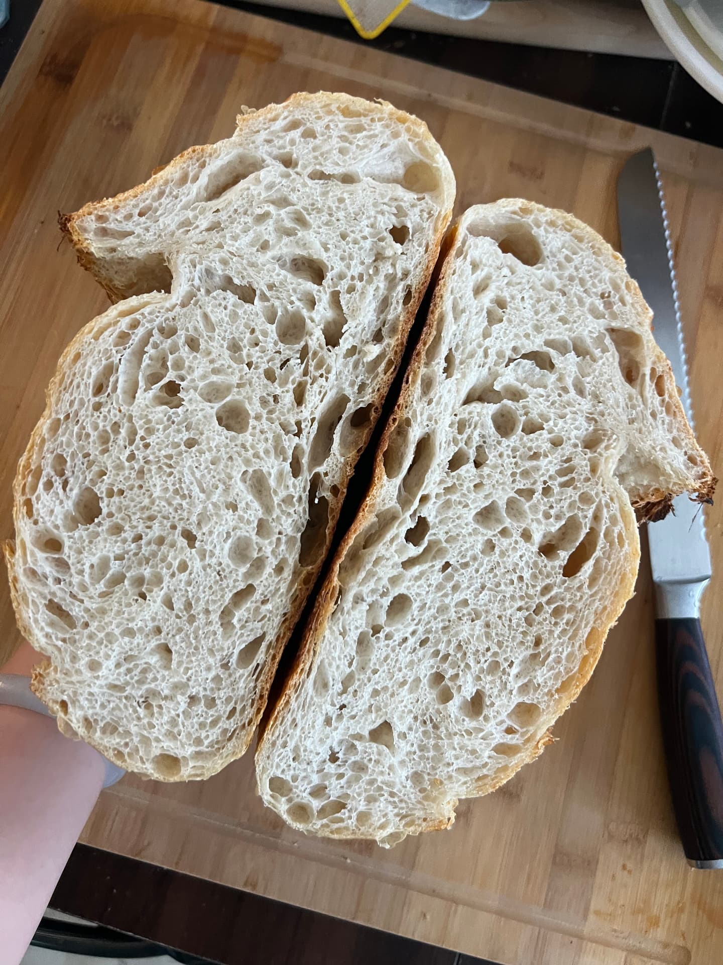 Classic White Sourdough crumb