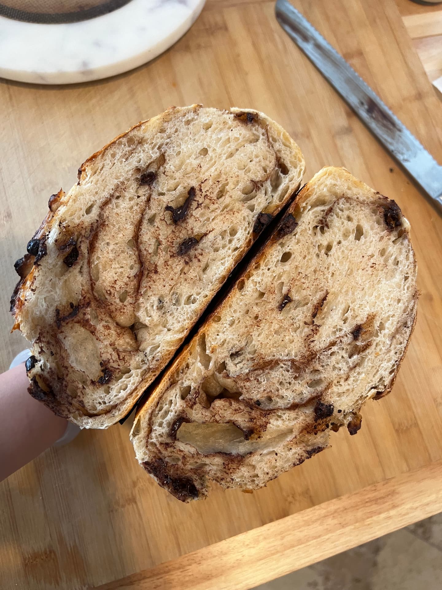 Chocolate Cinnamon Sourdough crumb