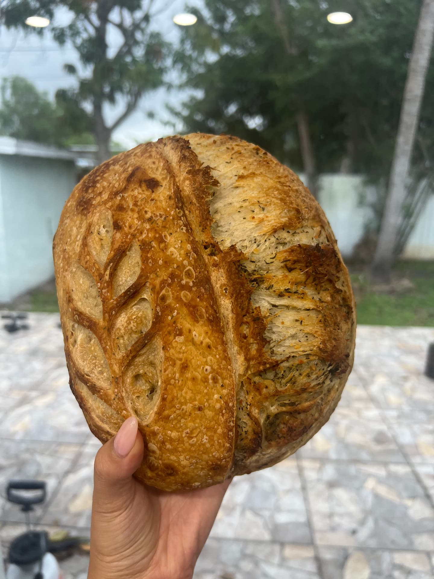 Herbs de Provence & Parmesan